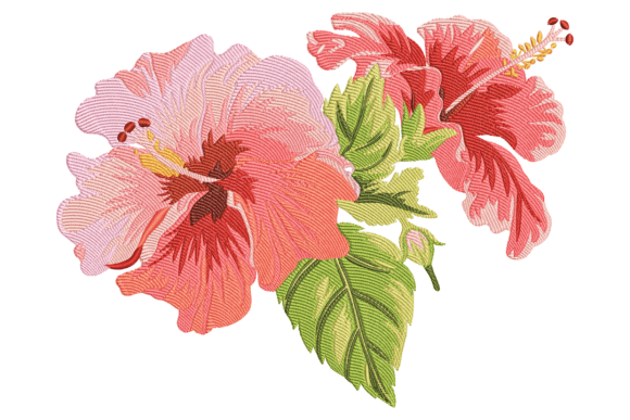 Red Hibiscus Flowers